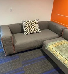[#00-36] Gray Couch